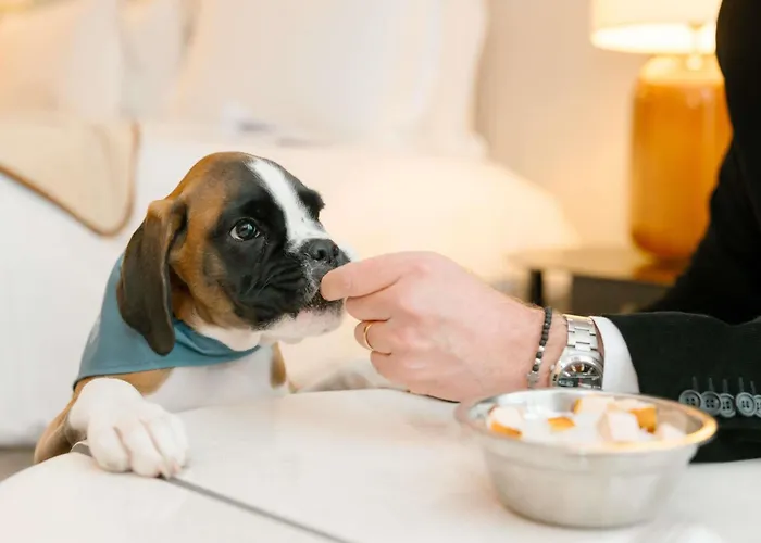 Sofitel Le Scribe Paris Opera